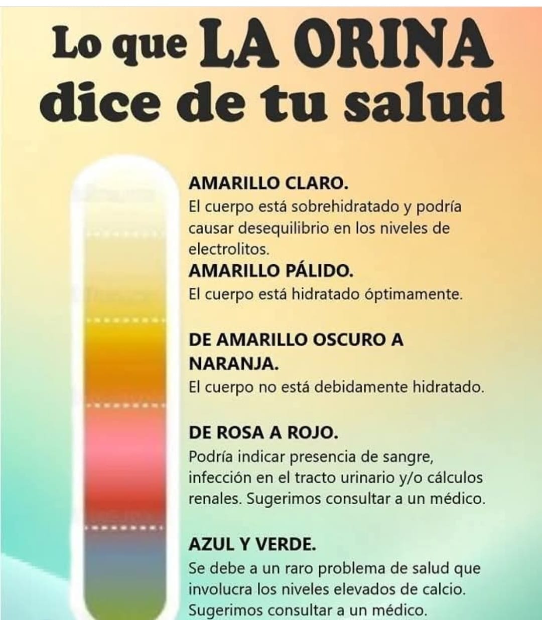 Notas la orina de color amarillo fluorescente mientras estás tomando Complejo B? El Complejo B está compuesto por varias vitaminas hidrosolubles del grupo B, entre las cuales la riboflavina (vitamina B2) es