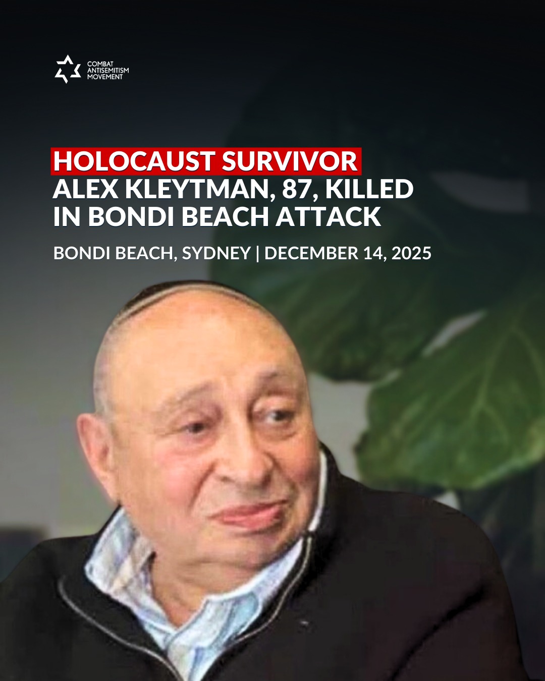 alex kleytman holocaust survivor Image 9