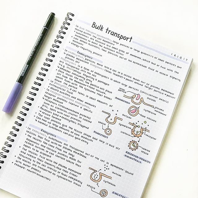 The Uni Notes