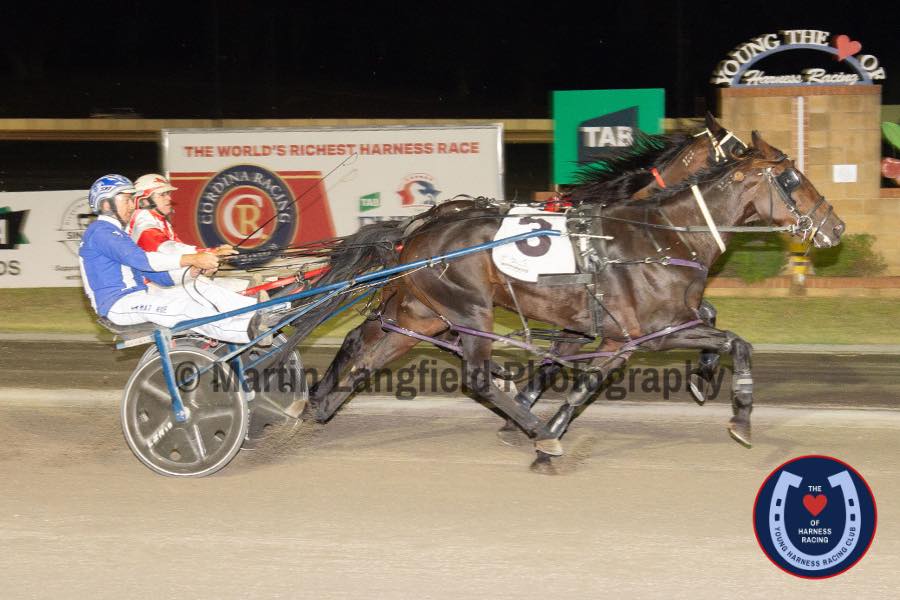 Young Harness Racing | Young NSW