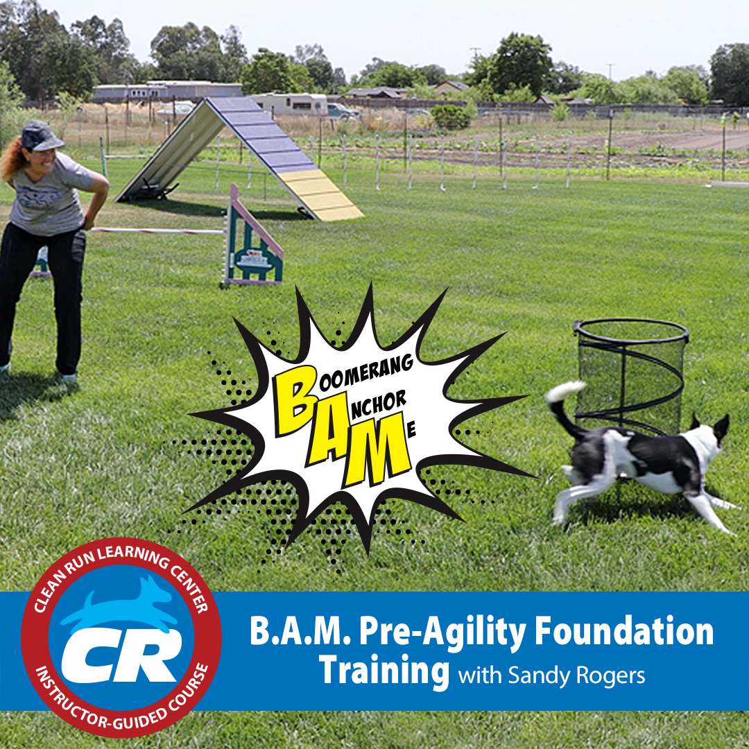 Clean Run Magazine, Learning Center & More | Facebook
