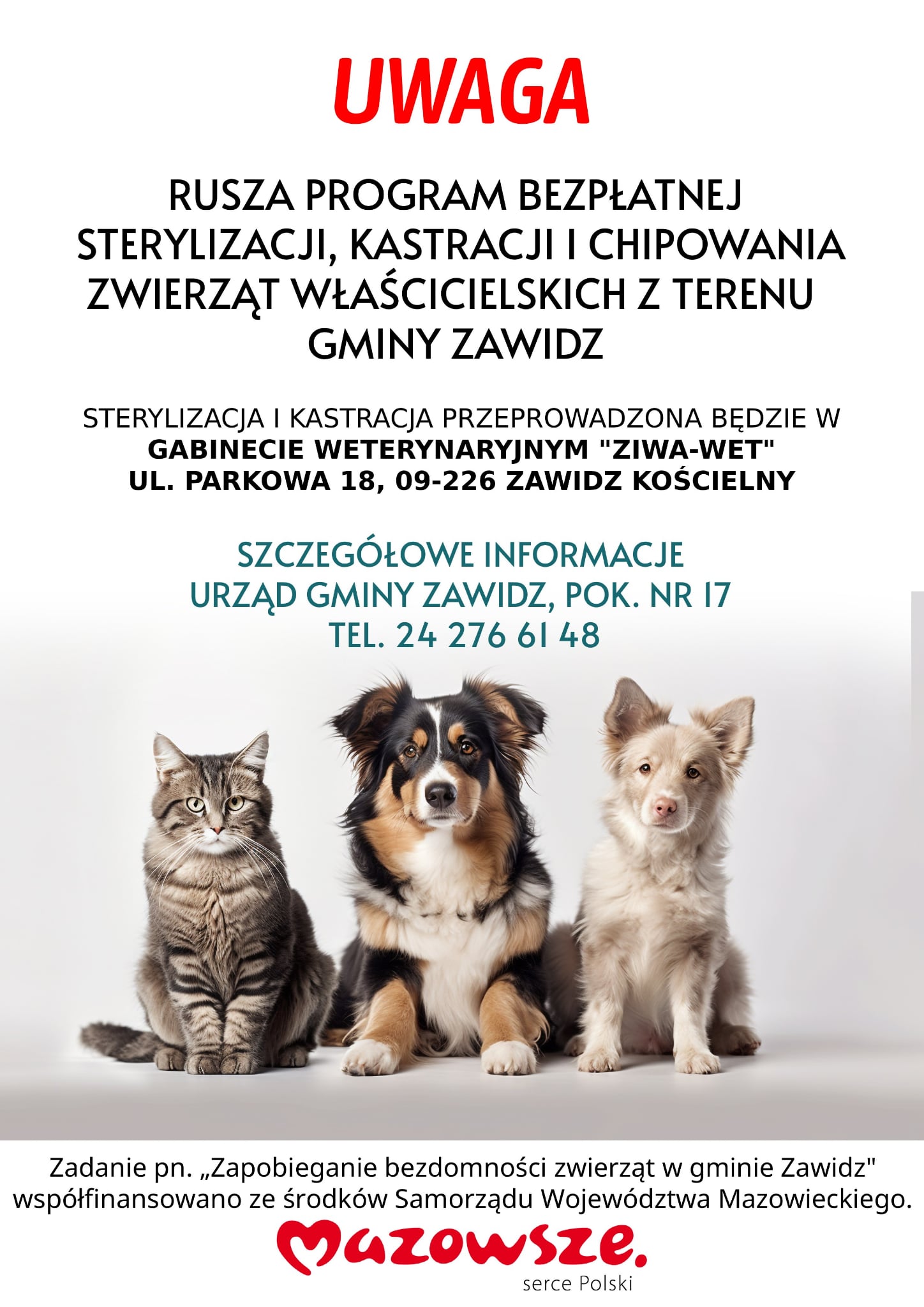 Fundacja Pro Animals - Na Pomoc Zwierzętom