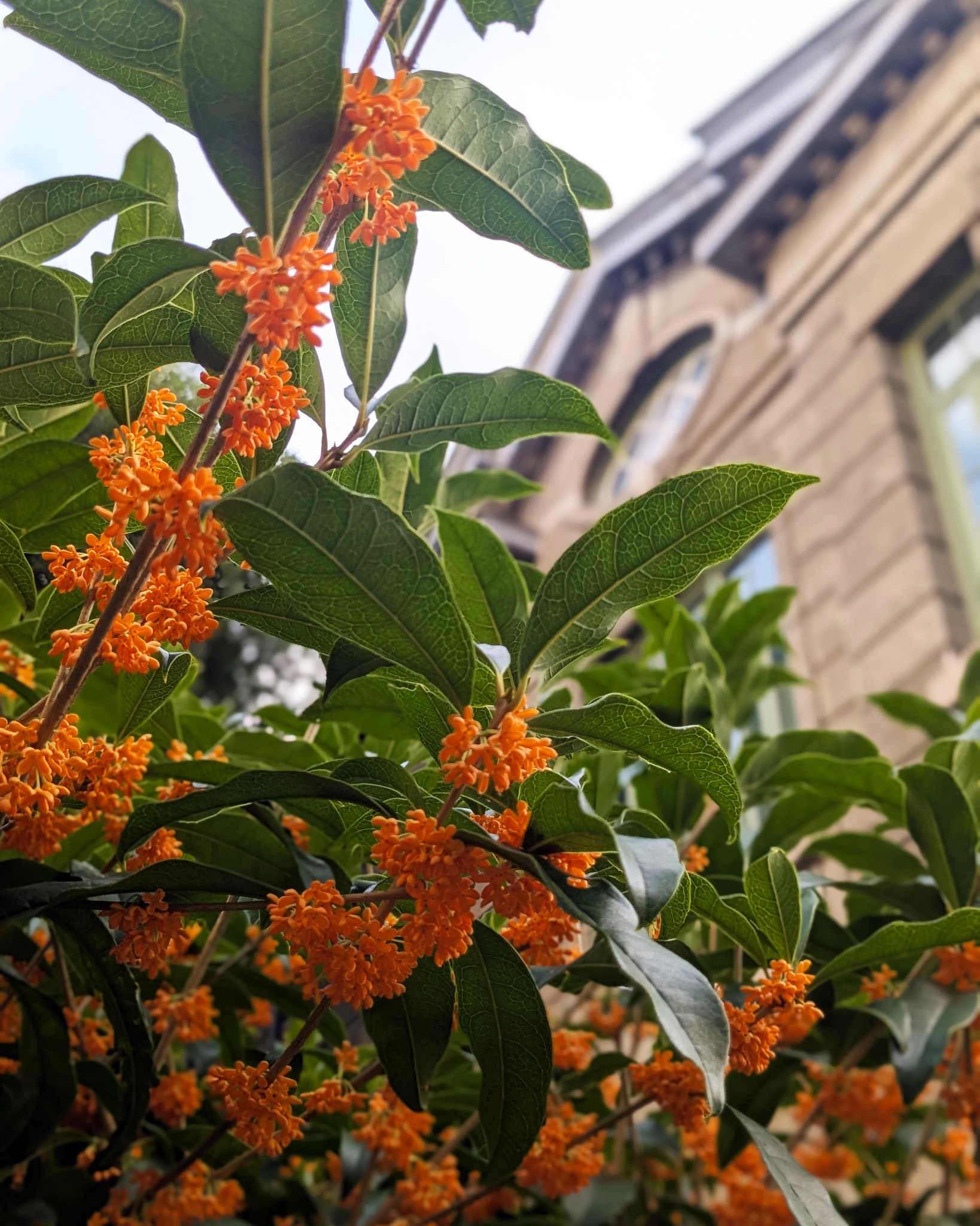 京都大学（Kyoto University） added a... - 京都大学（Kyoto University）