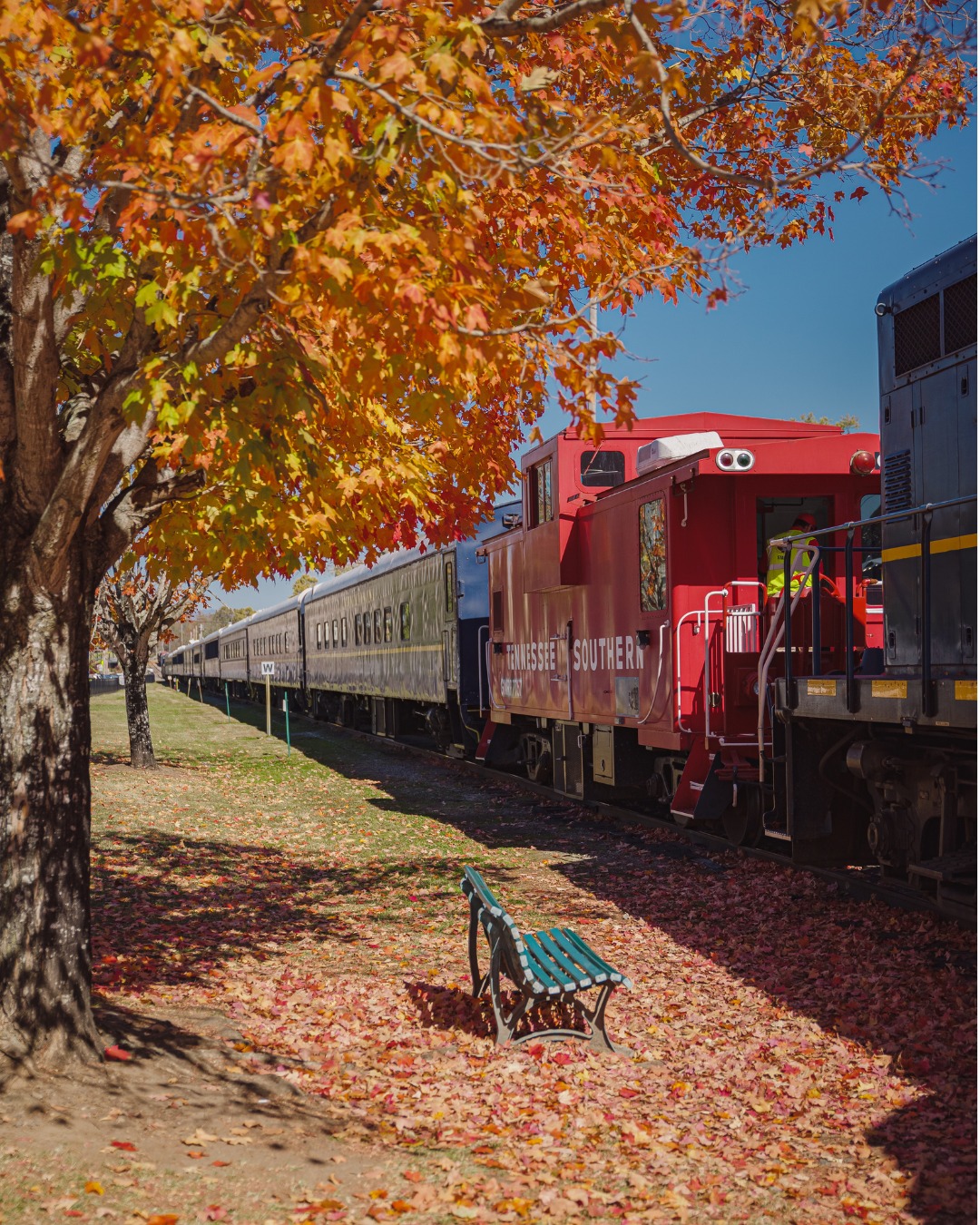 Your favorite fall rides sold... - Blue Ridge Scenic Railway | Facebook