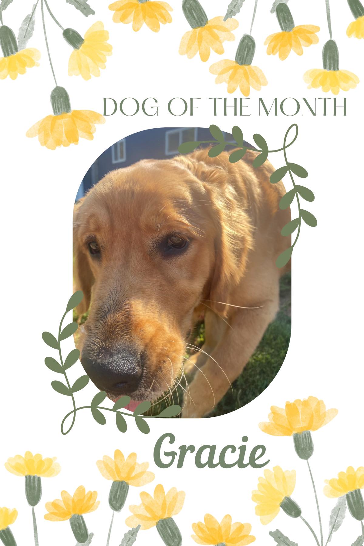Introducing our April dog of the... - Sweet Paws Retreat | Facebook