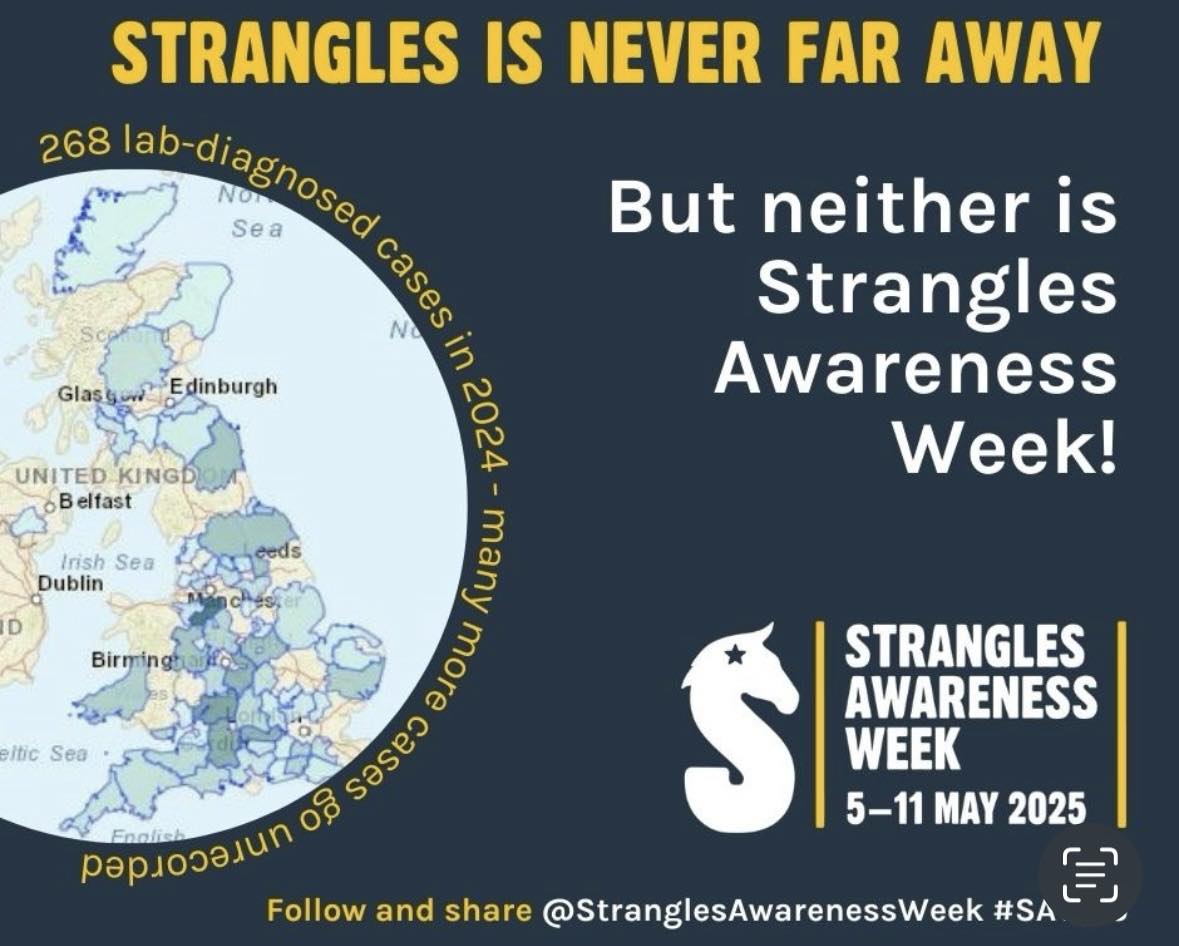Corner - ⚠️ STRANGLES AWARENESS WEEK ⚠️ What is strangles? Strangles is ...