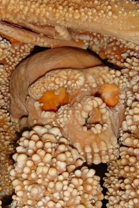 Lost Worlds & Modern Science | Altamura Man was discovered in 1993 near ...