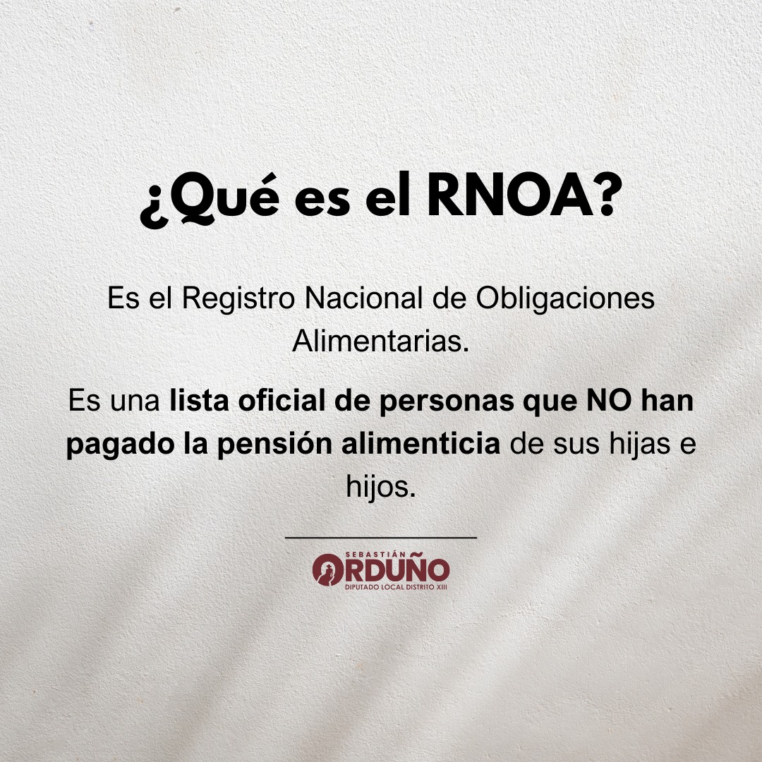 Sebastián - ¿Qué es el RNOA? El Registro Nacional de Obligaciones ...