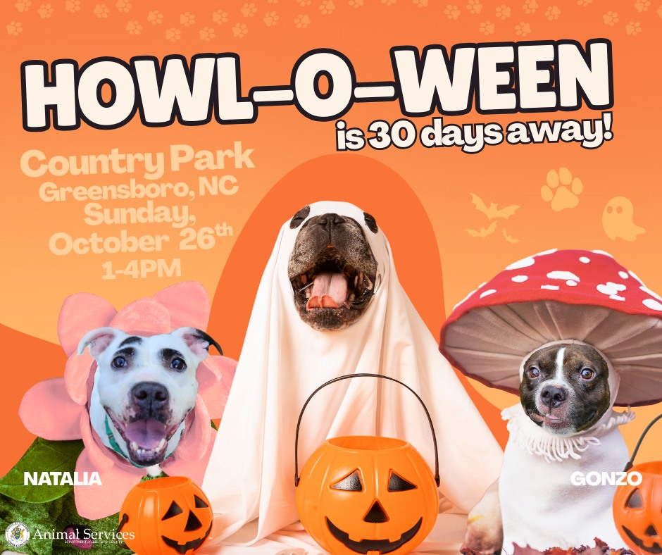 Guilford - 🎃👻 The countdown is on… we’re just 30 days away from the 5th ...