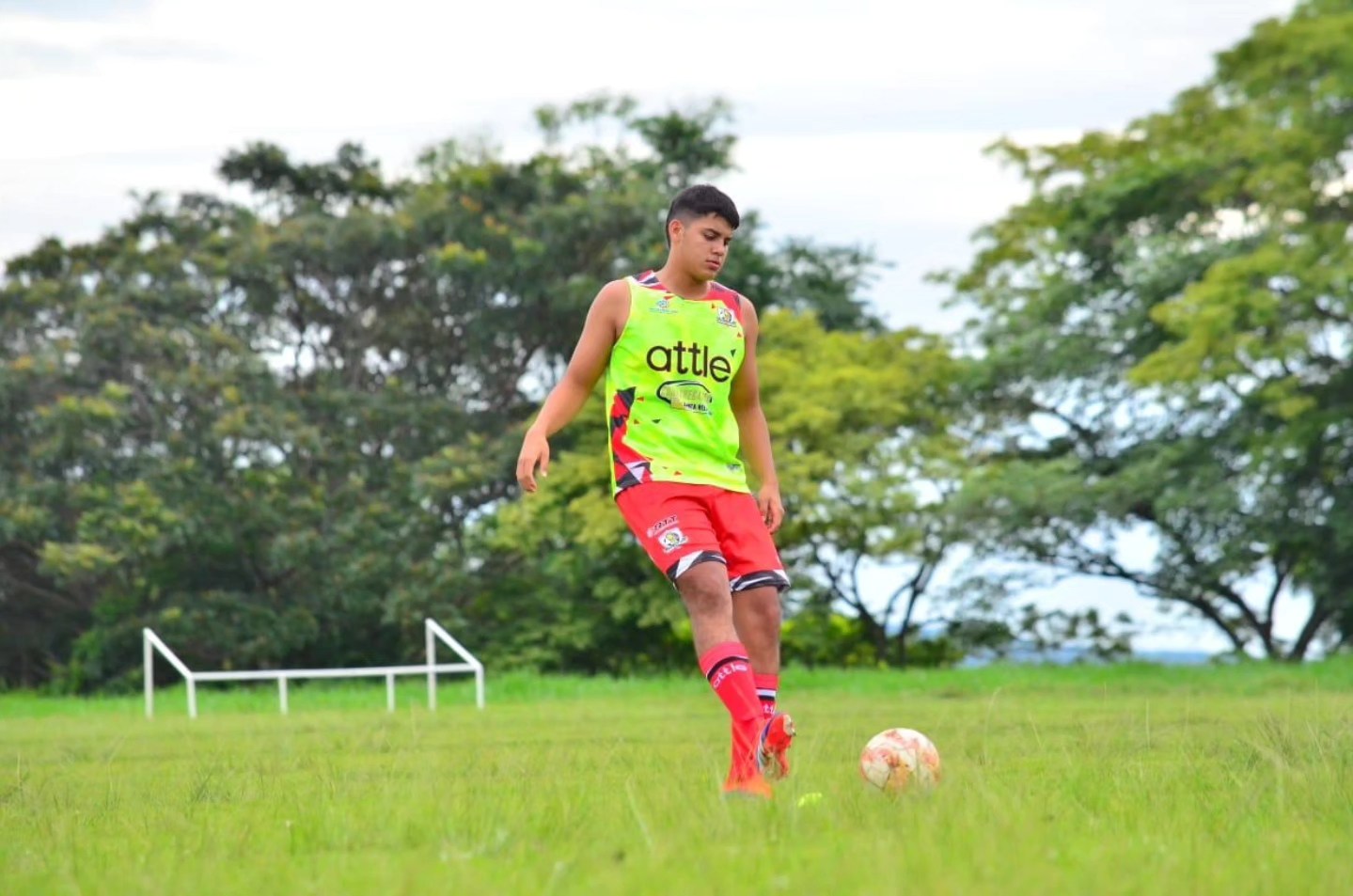 Attle Deportes S.A.S