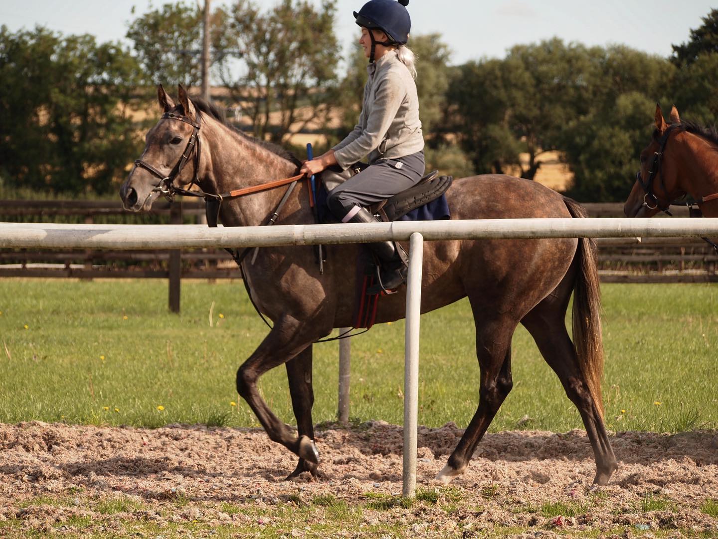 Declaration! 🔴⚪️🔵 Candy Cane has... - The Racing Emporium | Facebook