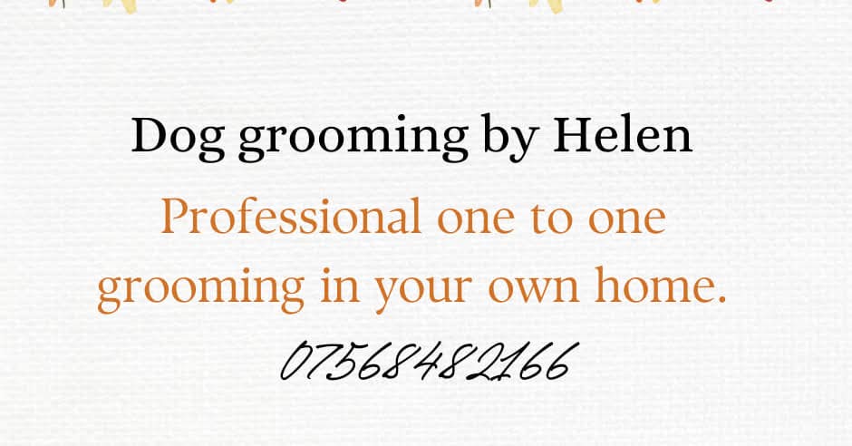 Dog - Professional dog grooming in the comfort of your own home, for ...