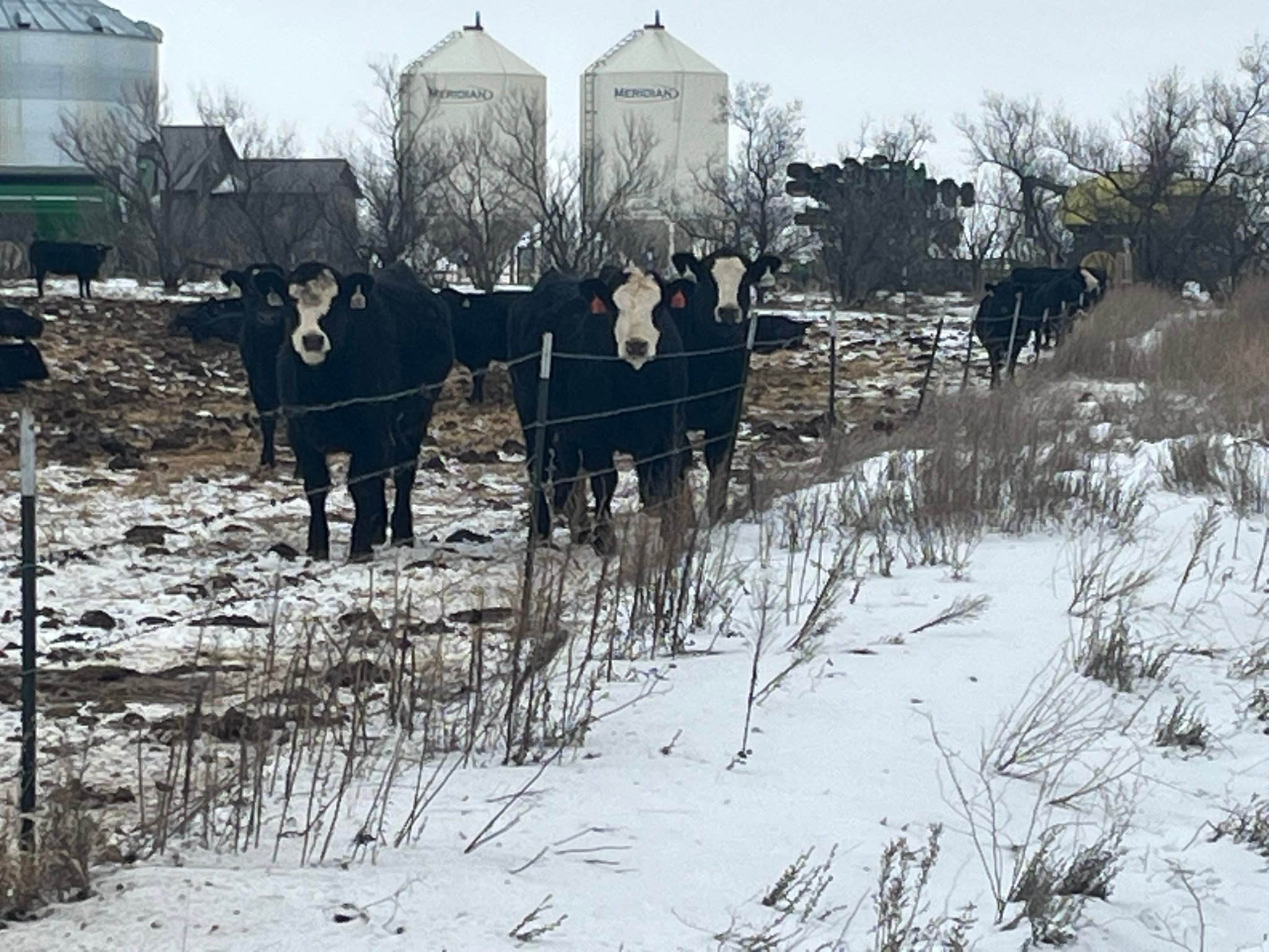 Grenz Ranch | Mound City SD
