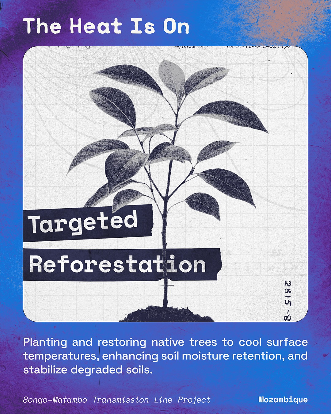Global - 🌳 TREES AREN’T JUST SHADE, THEY’RE SURVIVAL. Targeted ...