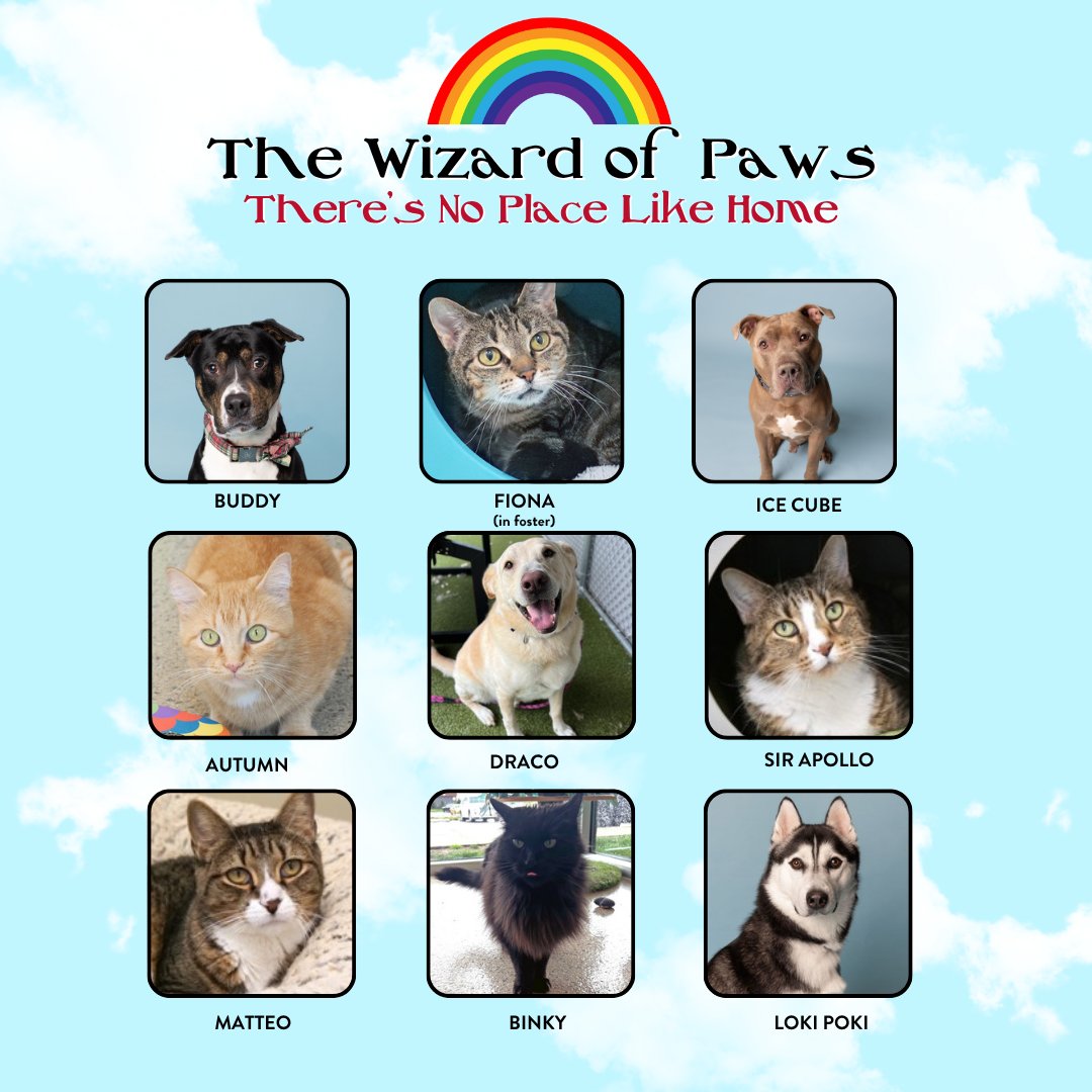 Humane - We're almost to the end of the yellow brick road, and nine of ...