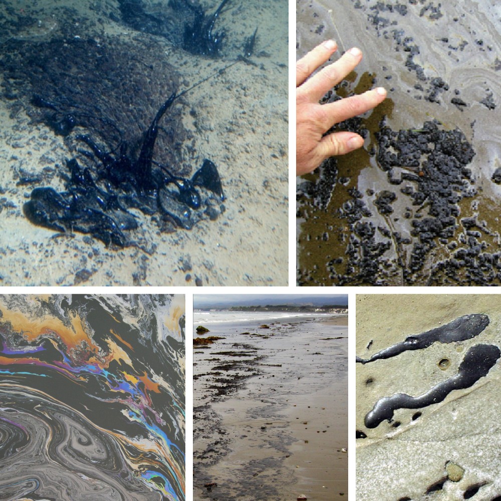 USGS - Sustained, natural oil seepage from the seafloor is common off ...