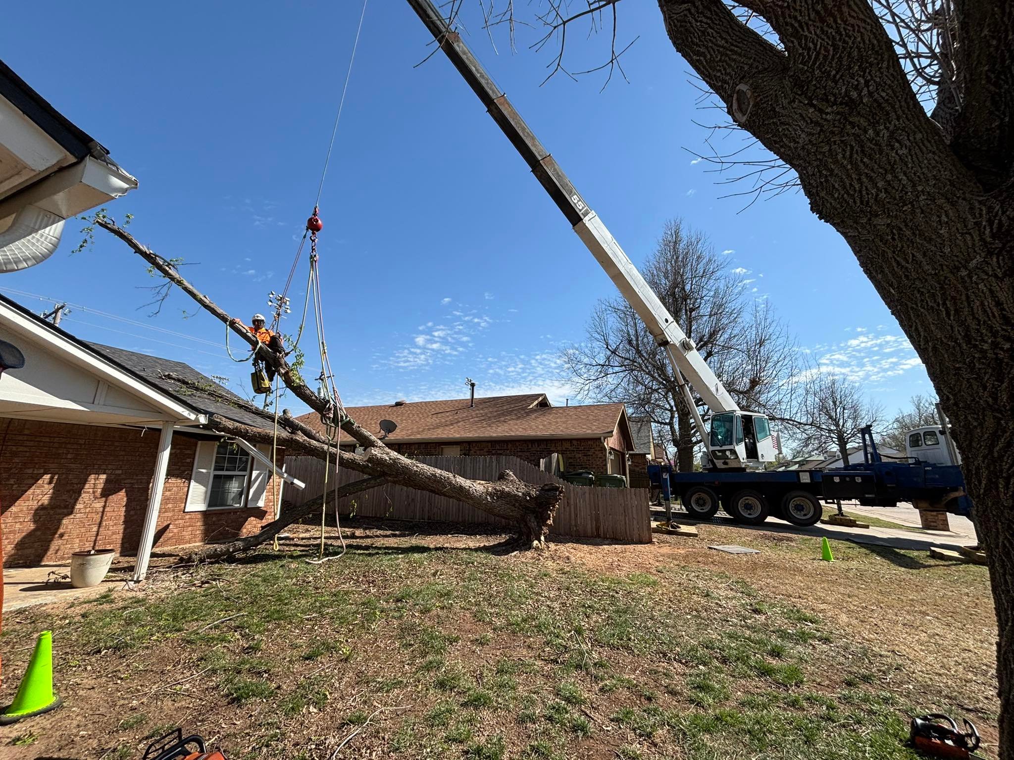 Arbor Image Tree Care | Oklahoma City OK