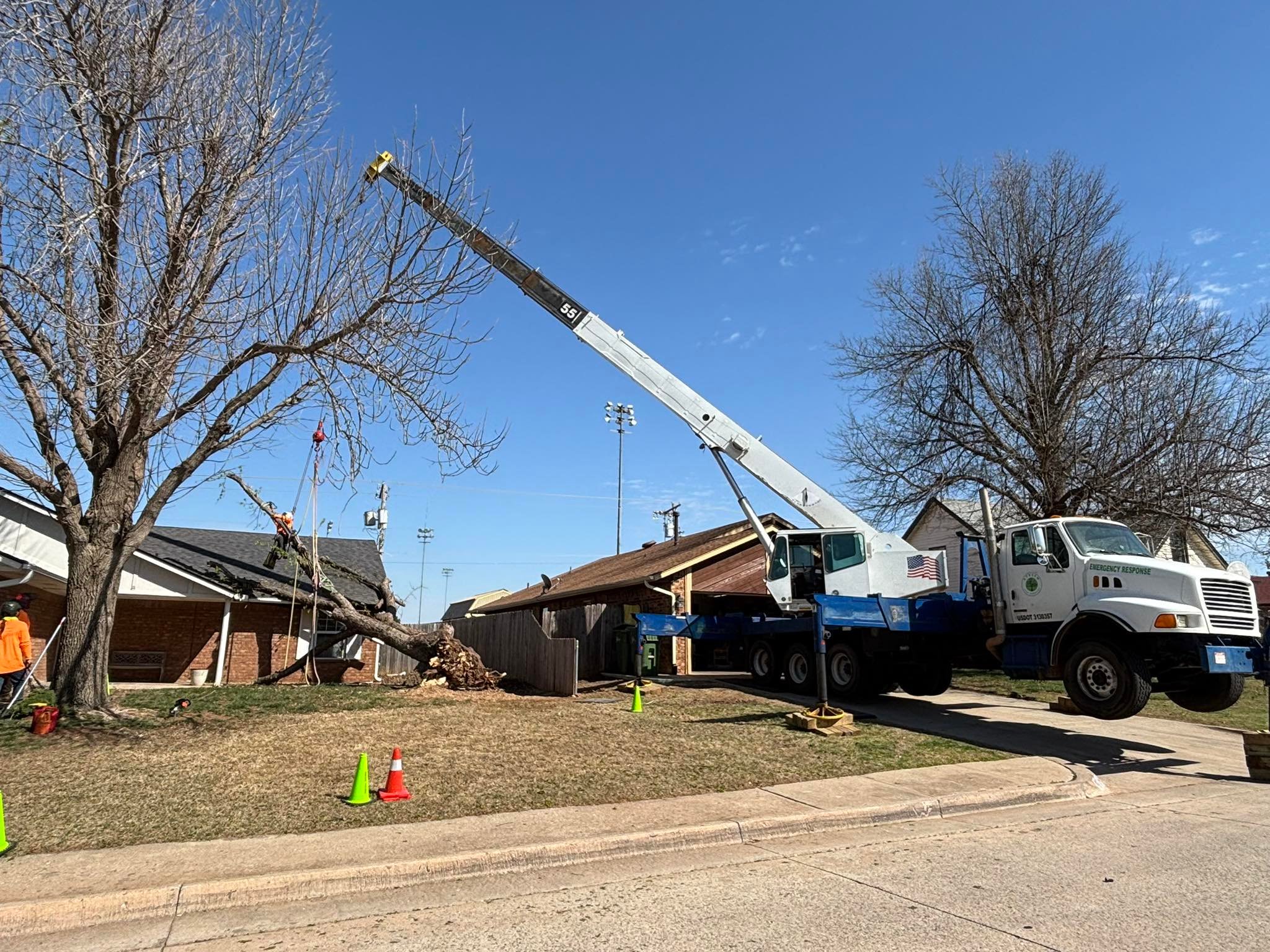 Arbor Image Tree Care | Oklahoma City OK