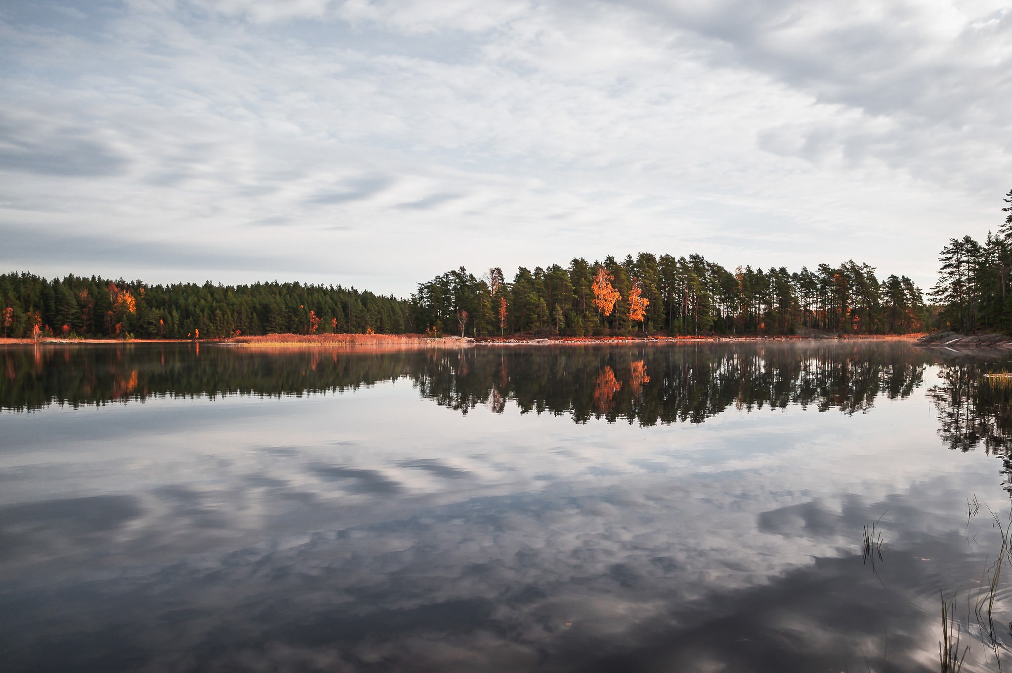 isoj-r-isoj-rven-kansallispuisto-isoj-rvi-national-park