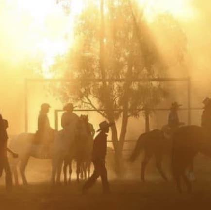Fitzroy Crossing Annual Campdraft and Rodeo | Fitzroy Crossing WA