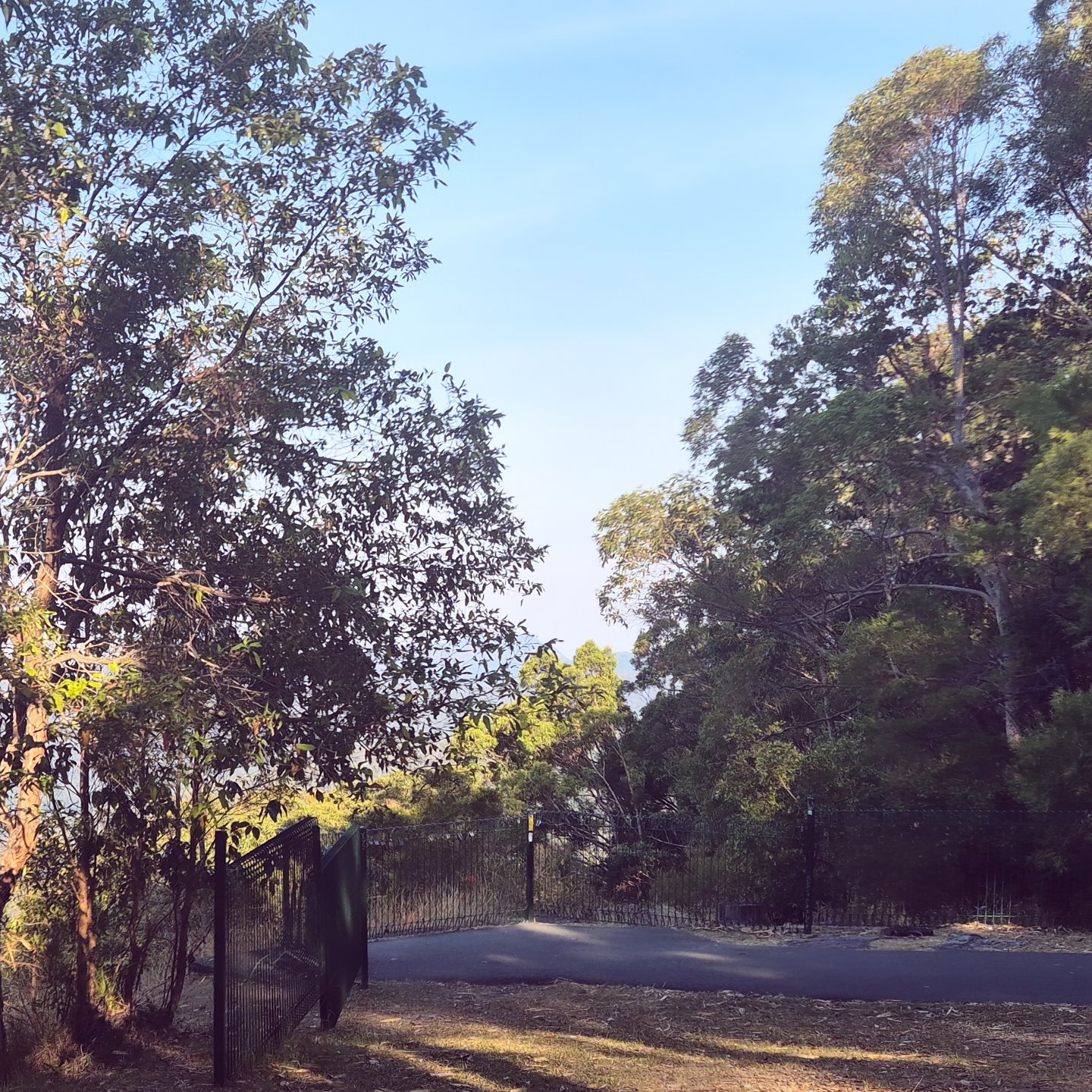 What Is A Day Like At Springbrook Newburg