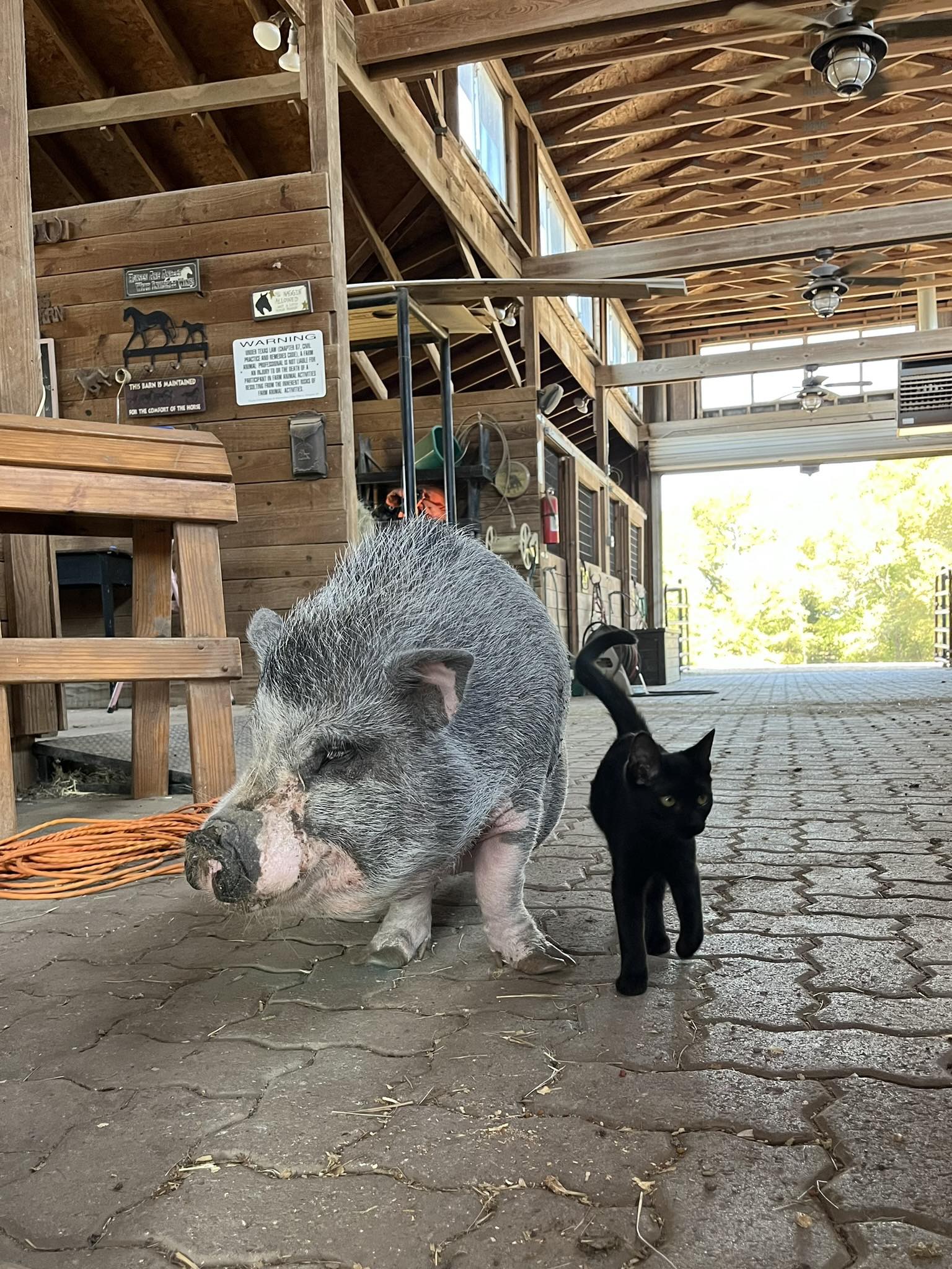 We may have missed it... - Paws for Reflection Ranch | Facebook