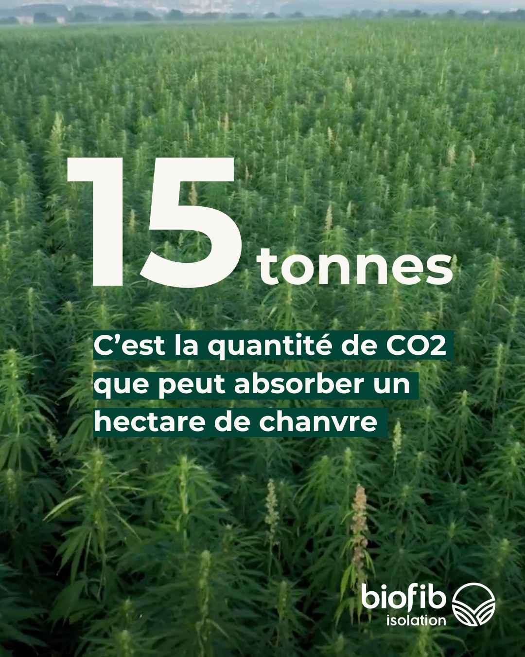 Sitemapcdatahttpsfreydreferenzcompellets De Chanvre Prix Tonne