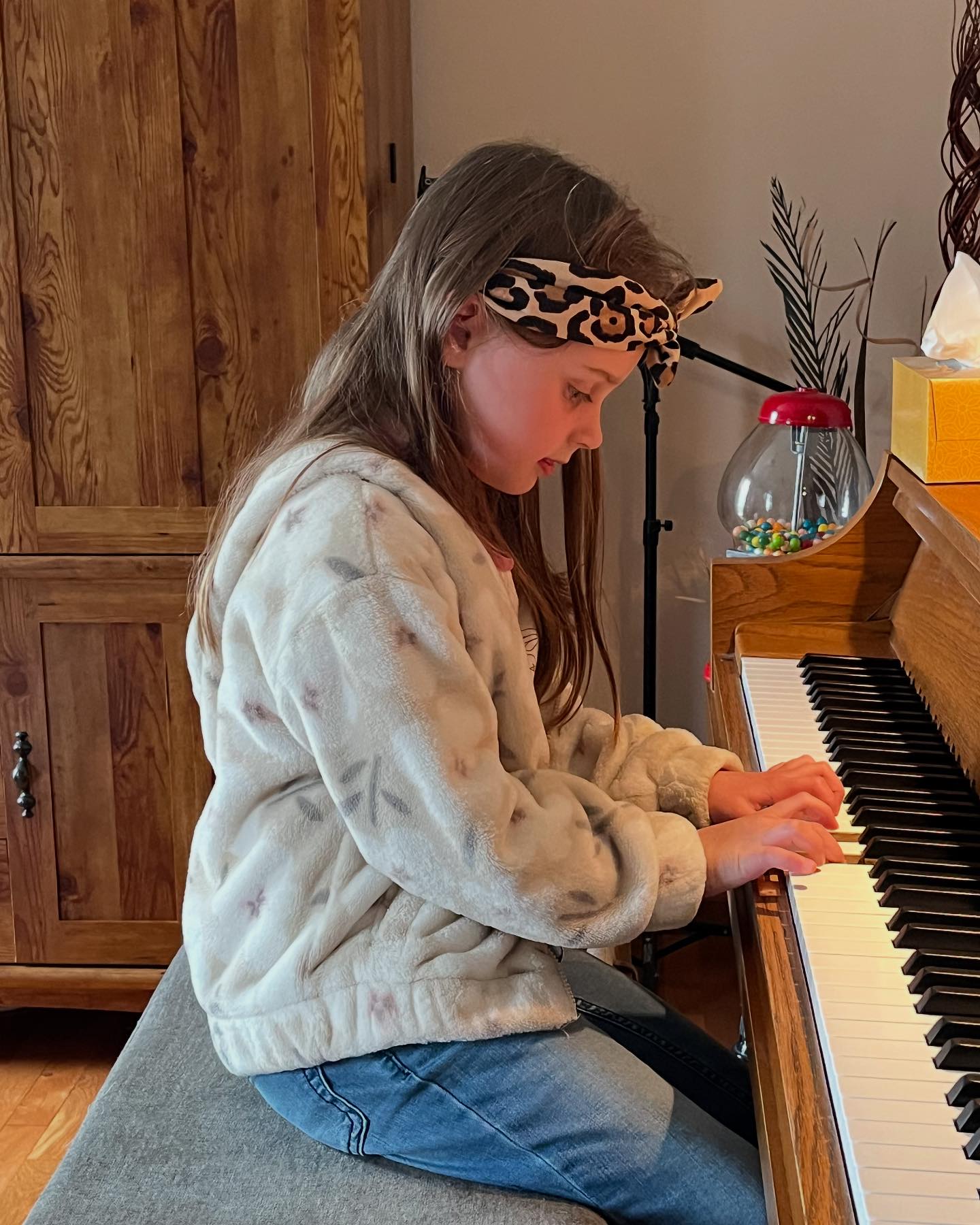 Karen Thompson Piano Studio | Morton IL