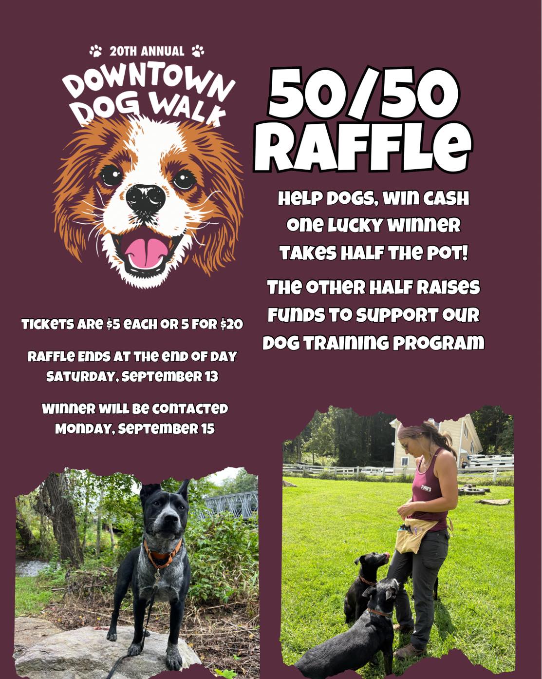 🎟️ 50/50 Raffle –... - Sarge's Animal Rescue Foundation, Inc. | Facebook