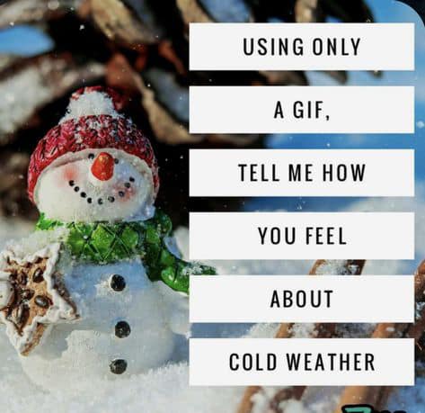 Crave - ️ It’s literally FREEZING out there! ️ Using only a GIF, tell ...