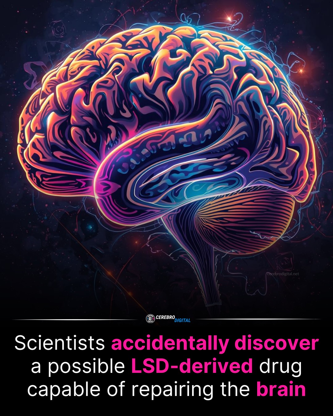 Digital - Scientists engineered a version of LSD that repairs brain ...