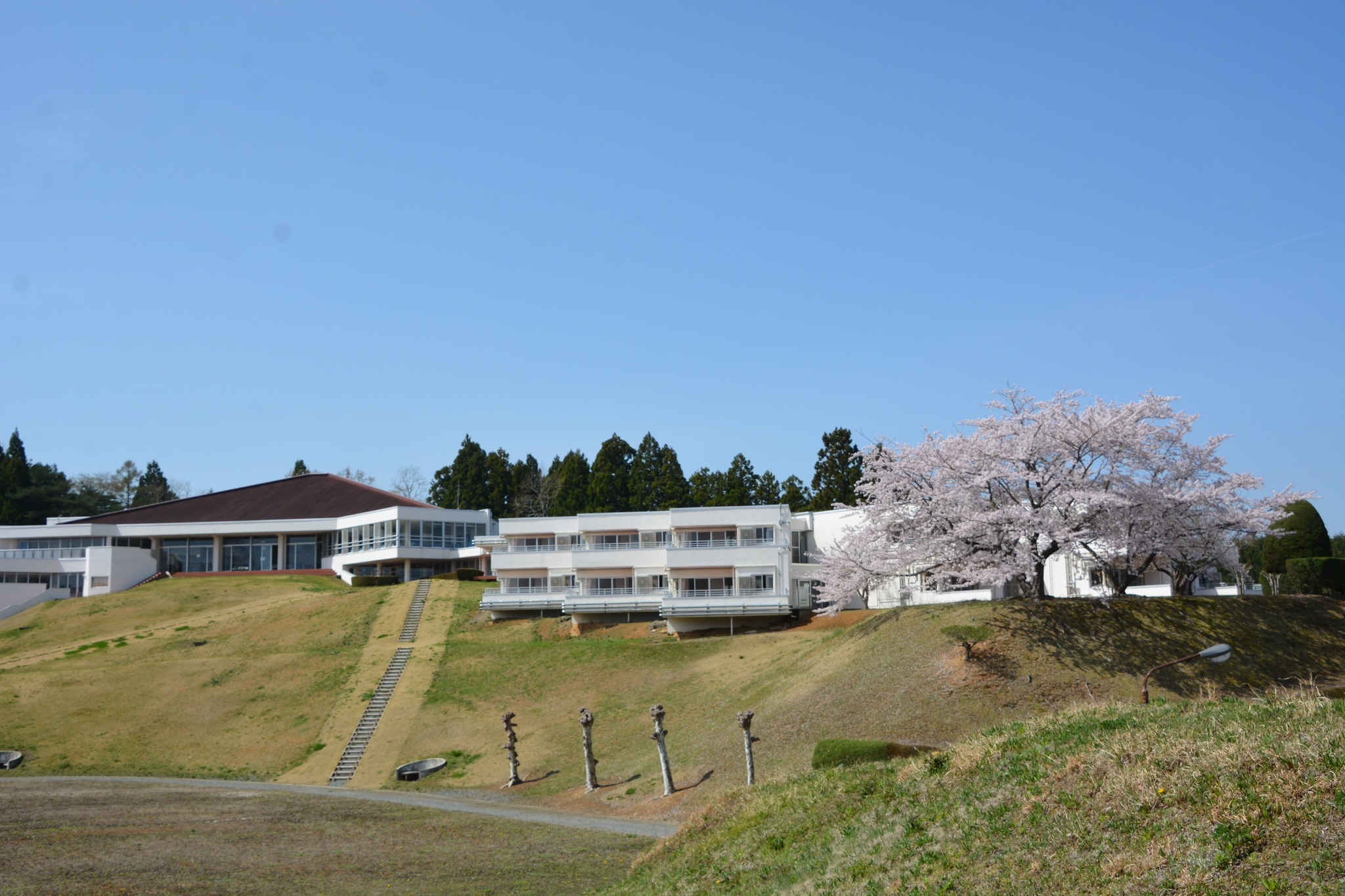 公の場での発言・インタビュー報道記録