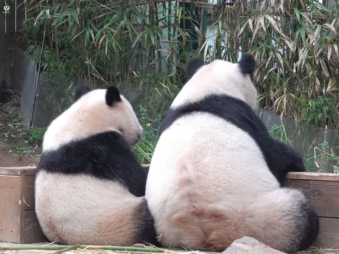 Rui Hui đáng yêu added a new photo. - Rui Hui đáng yêu