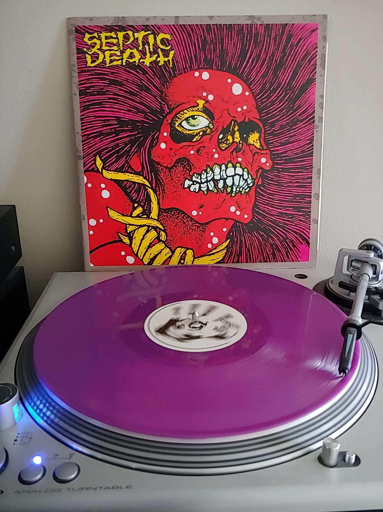 Septic Death reissue records now available at Ragin' Records