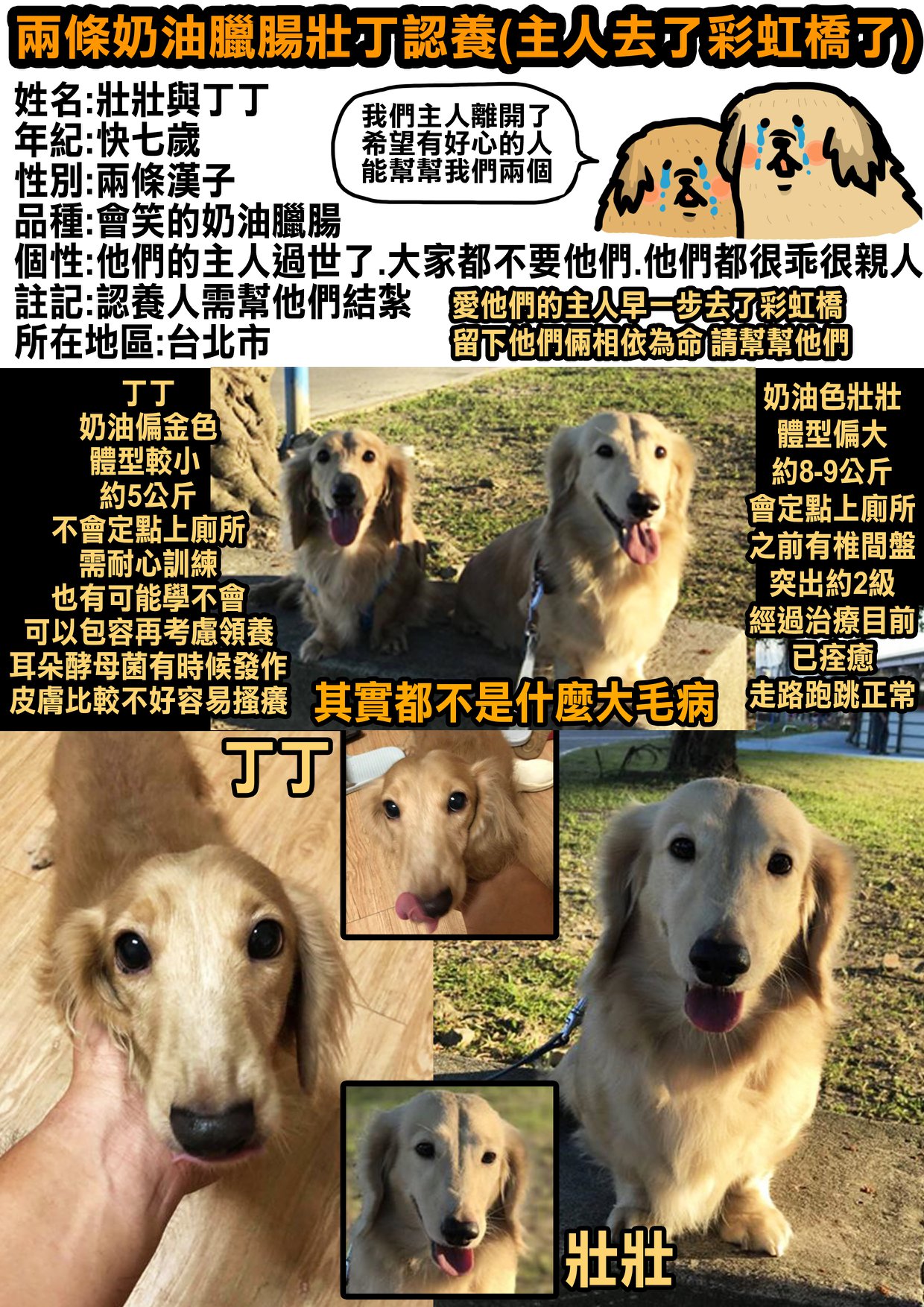今天的認養文是兩條親人的臘腸，他們有個漢子的名字，丁丁和壯壯，希望大家能花點時間把他們的故事看完，給他們一個機會，謝謝你們！ 他們兩條原本跟 ...