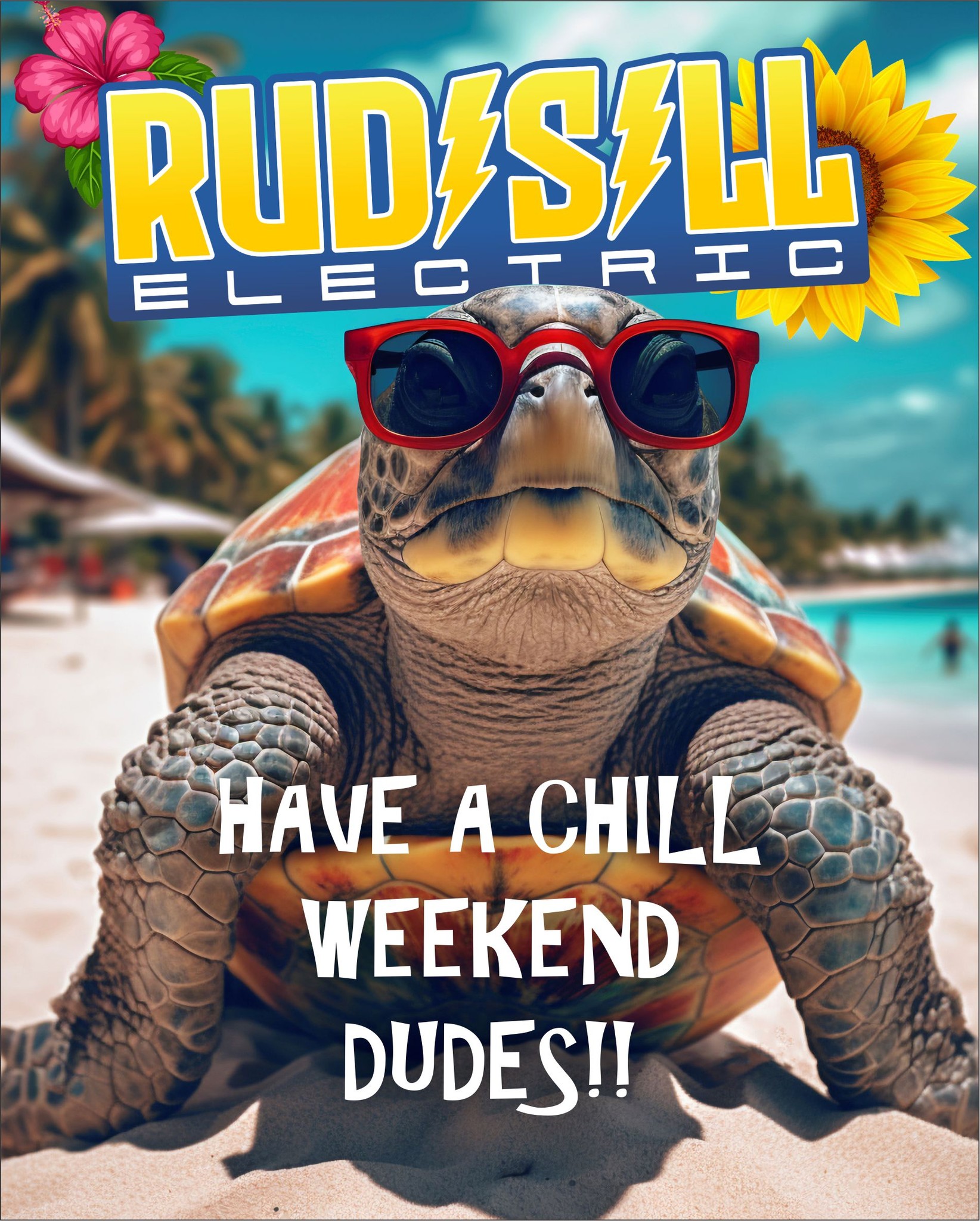 Rudisill Electric, Inc. | Land O' Lakes FL