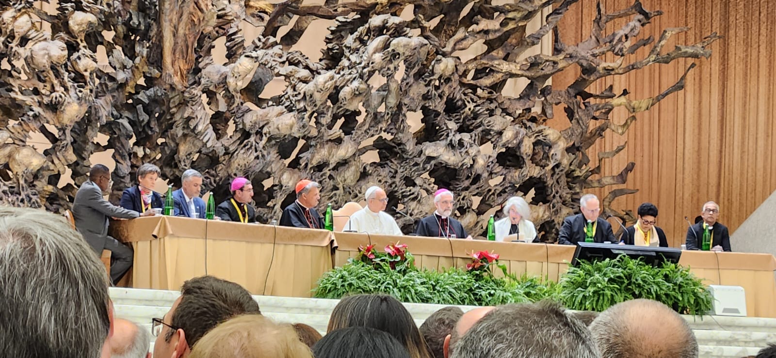 Australian Catholic Bishops Conference - Final ACBC Mass as Spring # ...