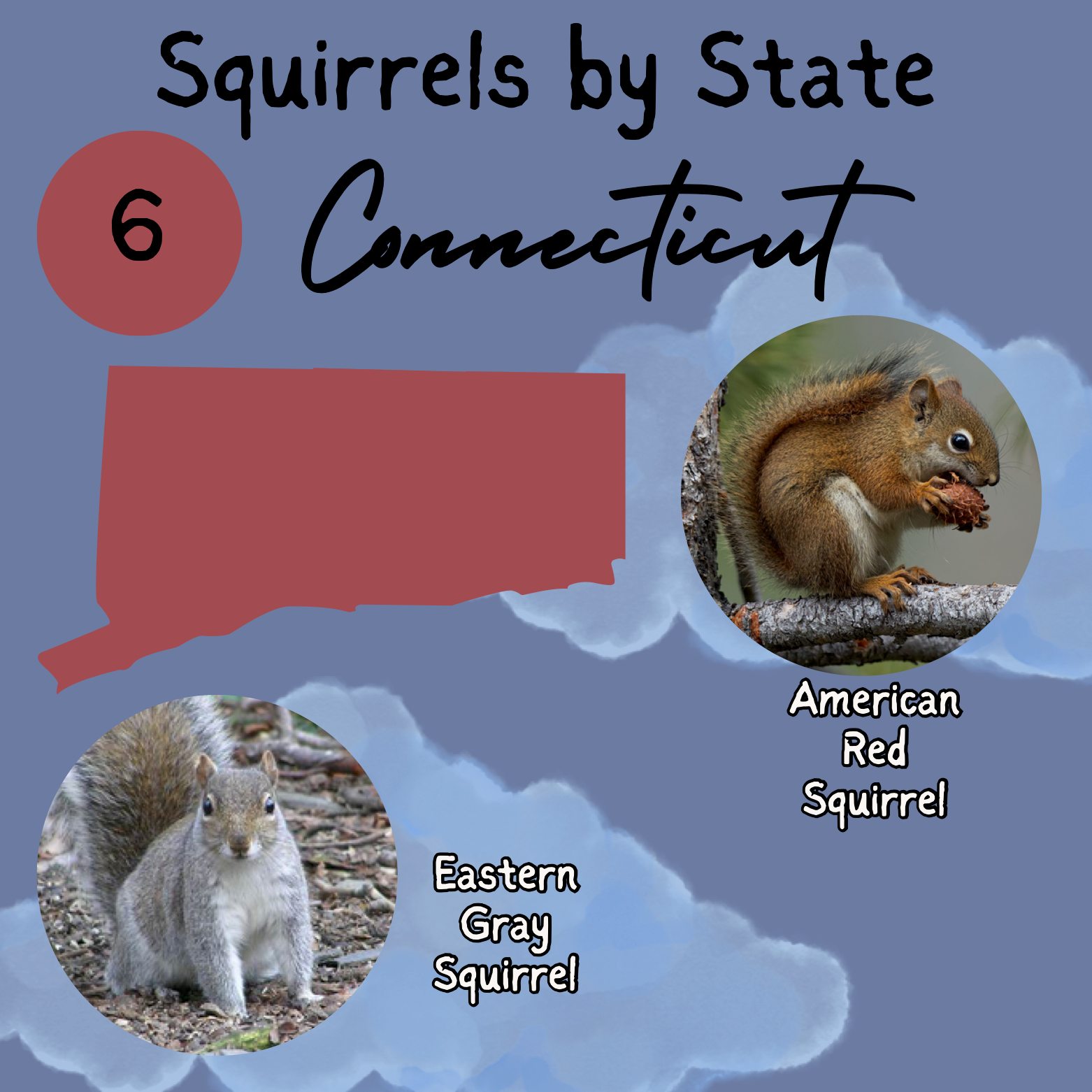 Squirrel-Net