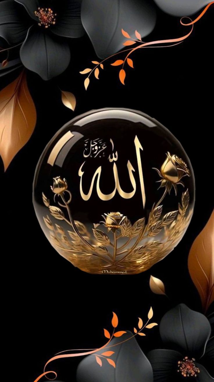 o unico momento que um contacto... - Islam é minha religião | Facebook