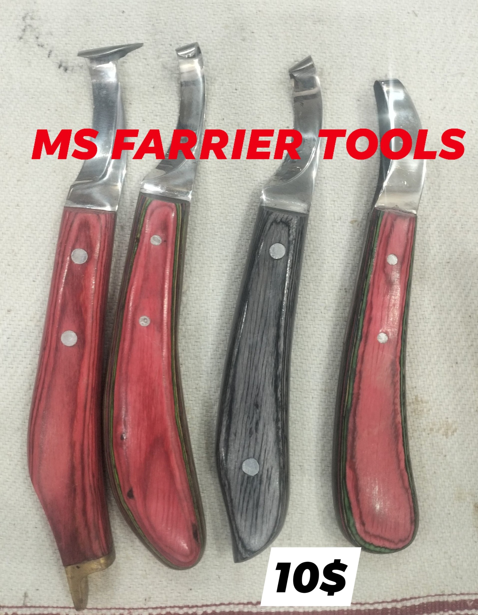 MS Farrier TOOLS | Sialkot