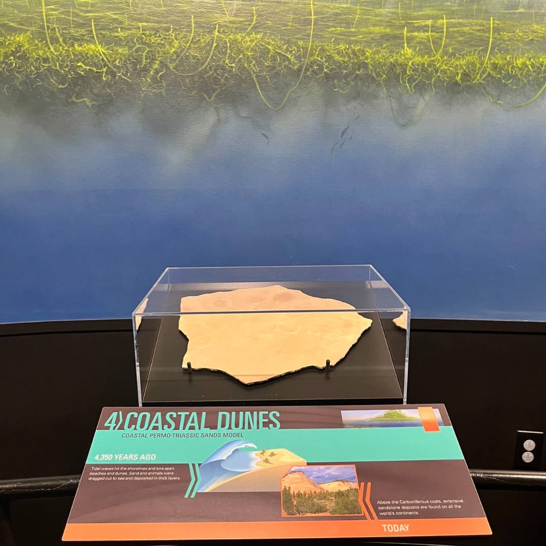 Creation Museum - Extensive sandstone deposits are found... | Facebook