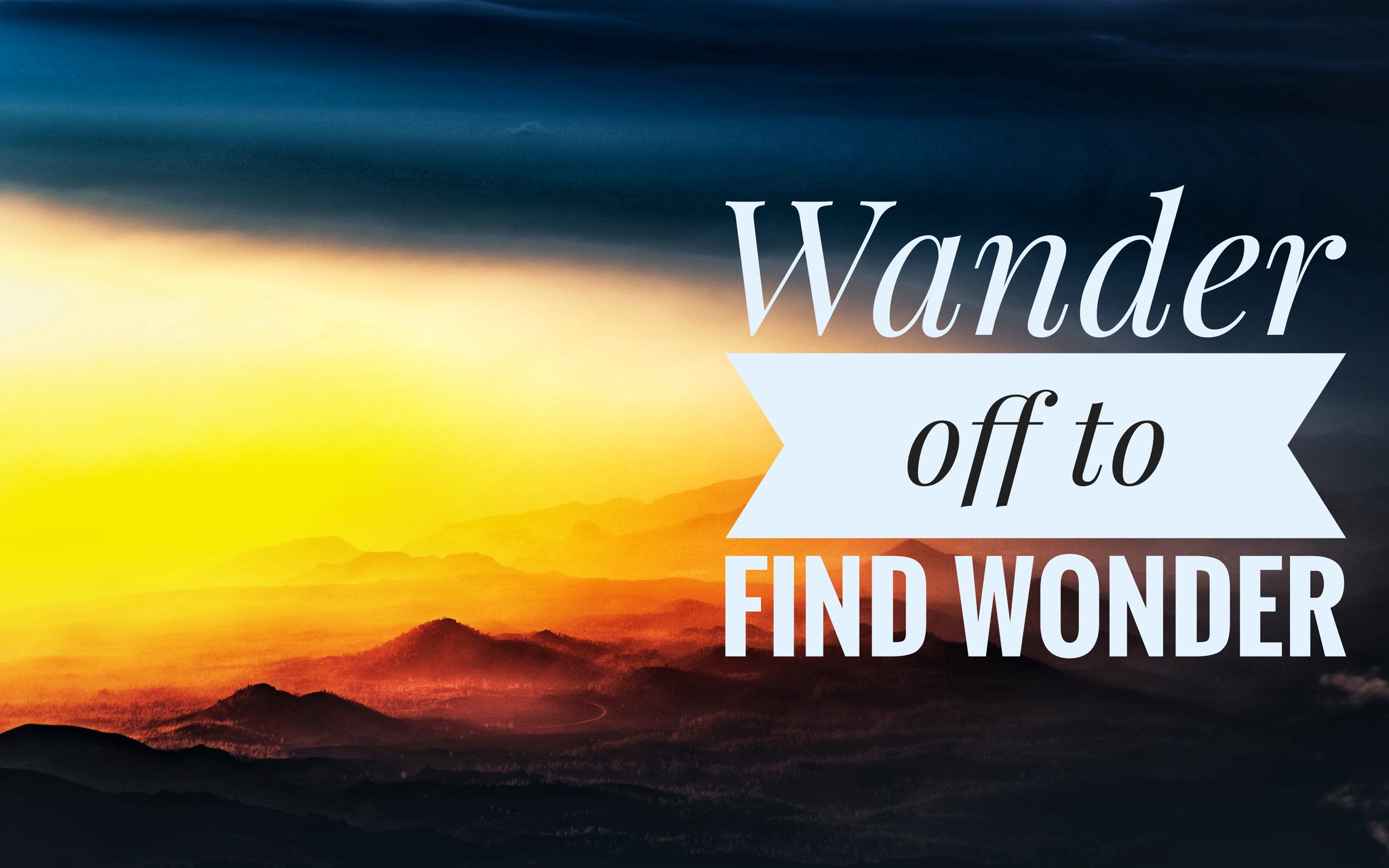 Wander Wonder | Sandton