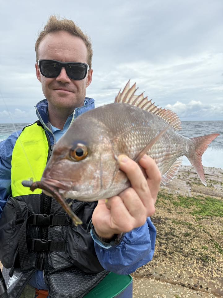 The smashing strike from a snapper on a plastic is so good 👏 Fishing ...