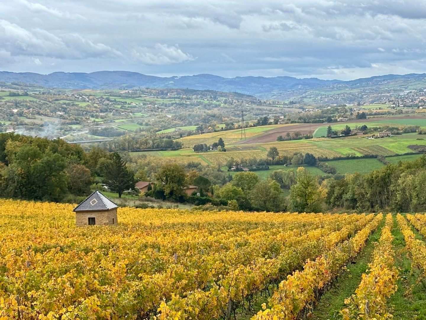 Château de Corcelles - Depuis 1890, la @maison_cellerier s’impose comme ...