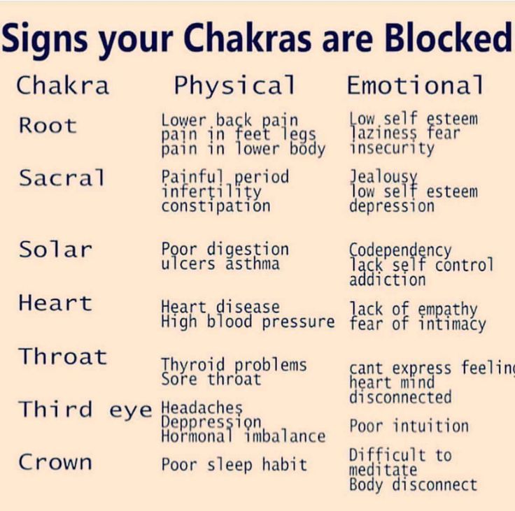 Seiheiki - Our Chakra & Aura Camera and The BioResonance Body Scan can ...