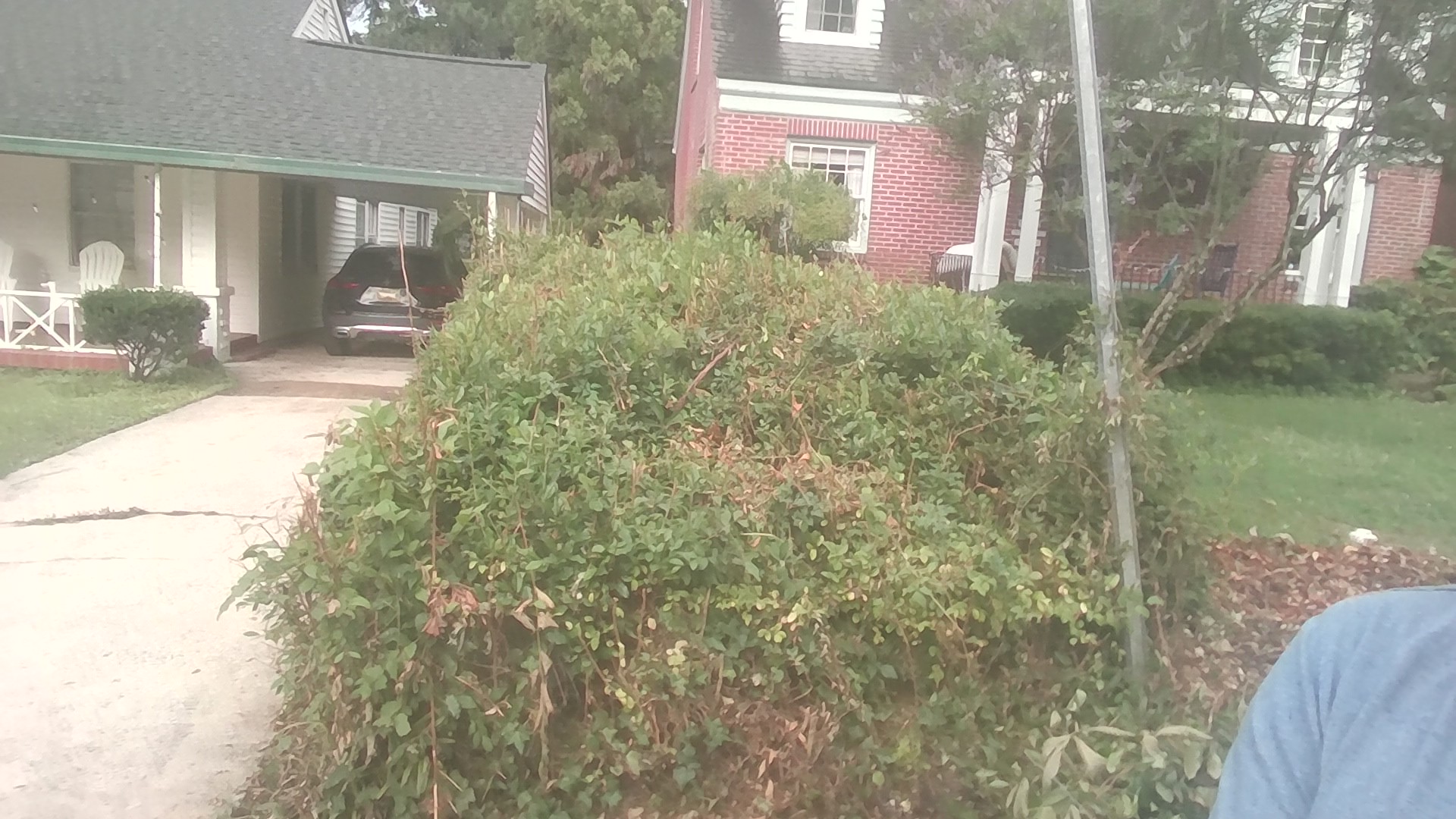 Tony Brown's Lawn & Tree Service | Greenville NC