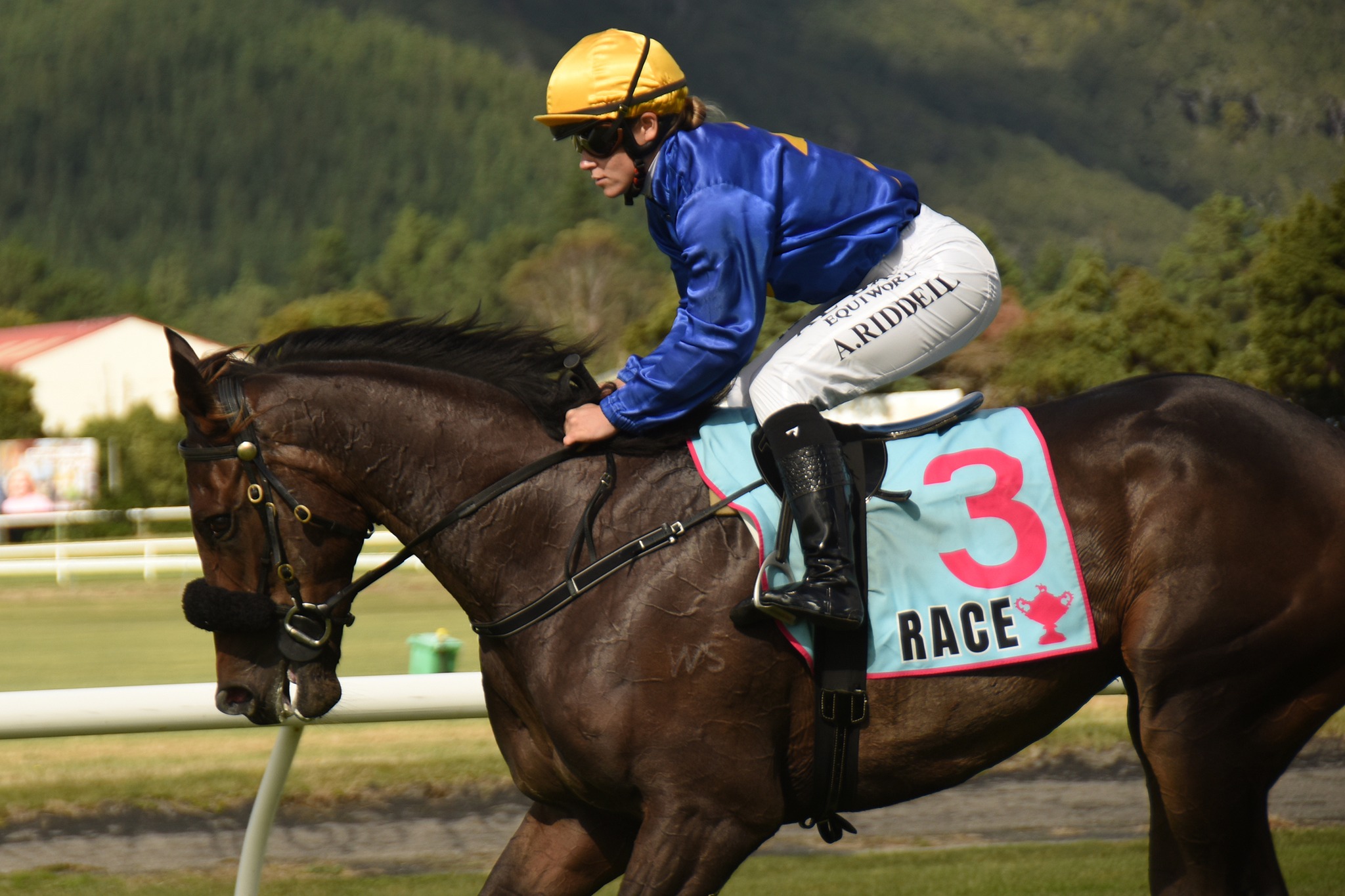 Hawkes Bay Racing
