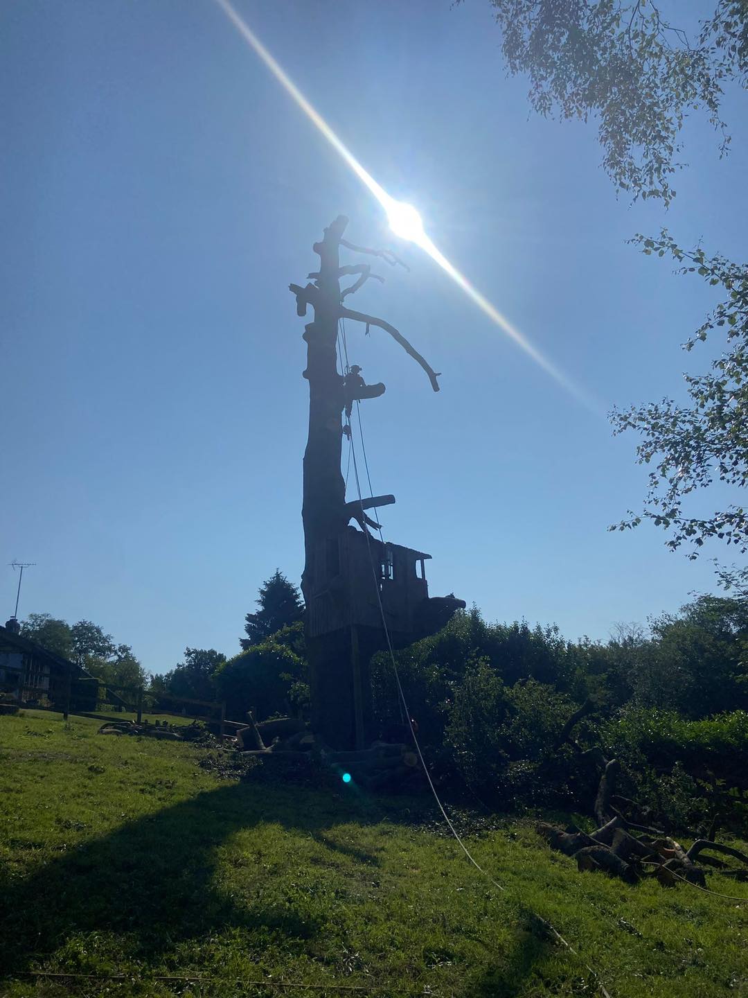 Michael Johnson Tree Surgery Ltd