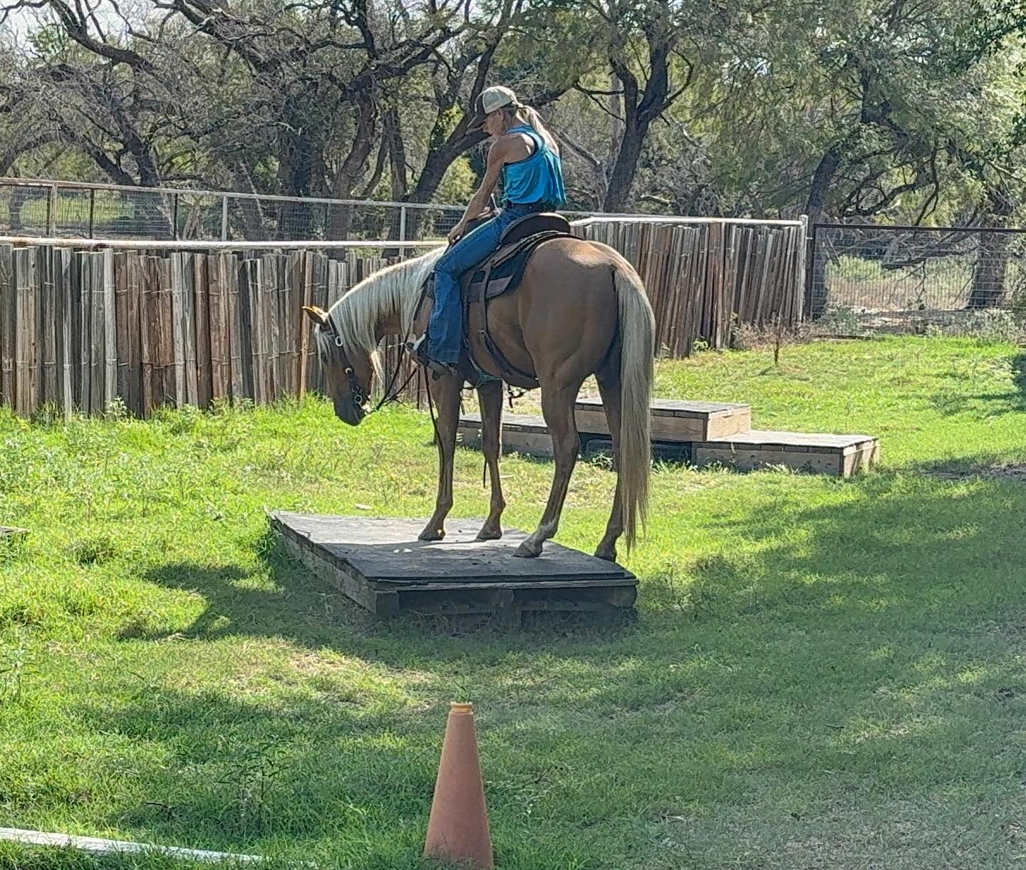 TnT Ranch & Tom Davis... - TnT Ranch & Tom Davis Horsemanship