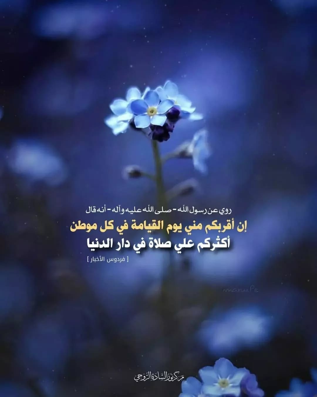 شبكة - . روي عن رسول الله ( صلى الله عليه وآله وسلم ) أنه قال :- . 